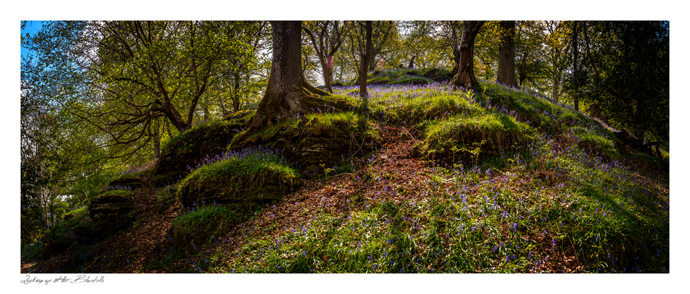 images from wales - Ian Nicholson Photography - Builth Wells